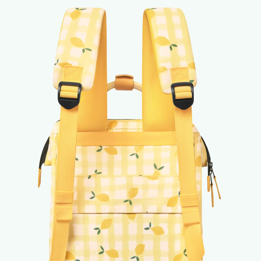 backpack adventurer medium faro isotherm